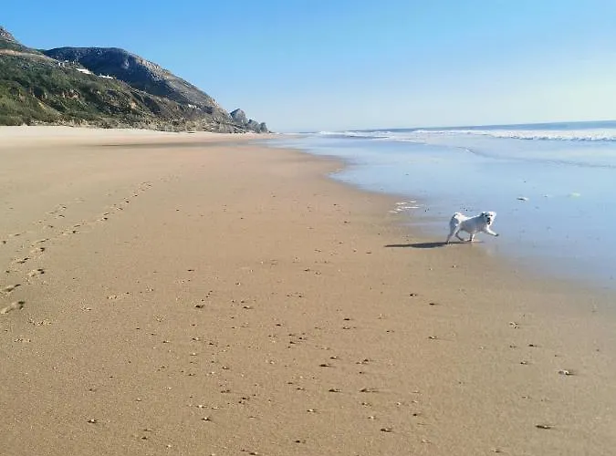 A My Own Paradise T2 1º Andar *