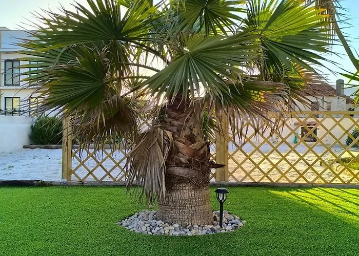 Appartement A My Own Paradise T2 1º Andar