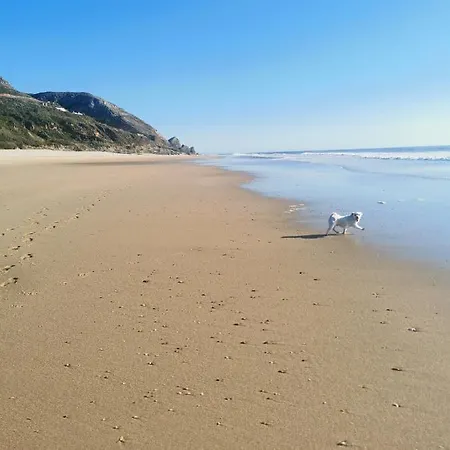 A My Own Paradise T2 1º Andar *