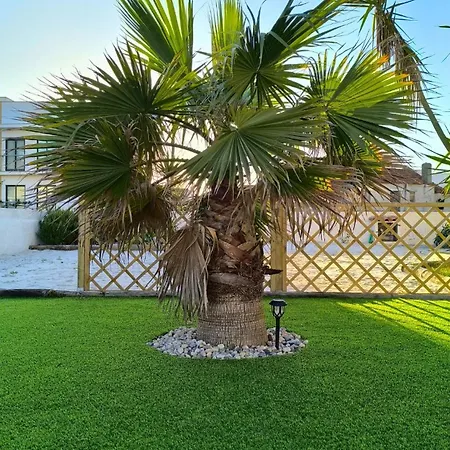 Daire A My Own Paradise T2 1º Andar